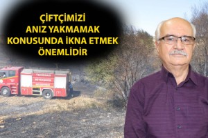 Anız yakmakla topraktaki milyonlarca canlıyı bir anda yok ediyoruz