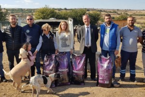 Malkara Kent Konseyi Hayvan Hakları Çalışma Grubu Kuruldu