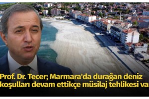 Prof. Dr. Tecer: Marmara'da durağan deniz koşulları devam ettikçe müsilaj tehlikesi var