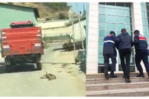 Traktör ardında sürüklenen köpeği sahibi bağlamış; sürücü serbest