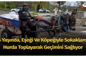 86 yaşında, eşeği ve köpeğiyle sokaklarda hurda toplayarak geçimini sağlıyor
