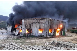 Ceviz işleme tesisinin deposu ve makineler, alev alev yandı