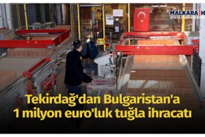 Tekirdağ'dan Bulgaristan'a 1 milyon euro'luk tuğla ihracatı