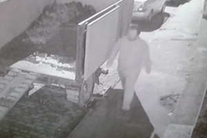 Kediyi öldüren şahsın ifadesi ortaya çıktı