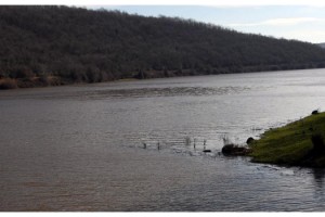 Trakya'da, İstanbul'un suyunu karşılayan barajlardan iyi haber