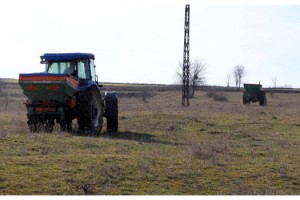 Tekirdağ'da meraların yüzde 50'si iyileştirildi