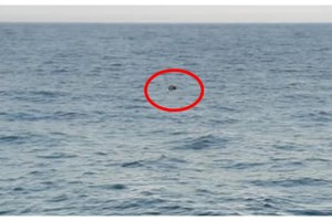 İğneada açıklarında mayını fark eden balıkçı: Çok korktuk