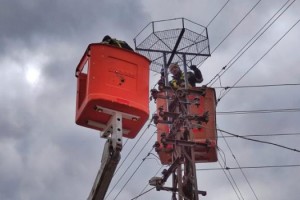 Leyleklerin akıma kapılmaması için elektrik direklerine özel platform