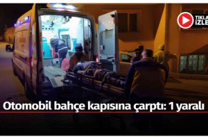 Otomobil bahçe kapısına çarptı: 1 yaralı