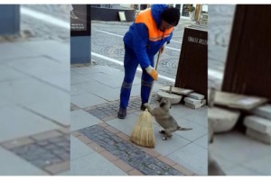 Temizlik işçisinin yavru köpekle oynadığı anlar, sosyal medyada ilgi gördü