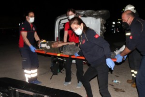 Otomobil, hafif ticari araçla çarpıştı; 8'i kaçak göçmen 9 yaralı