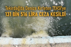 Tekirdağ'da denize kirleten TESKİ'ye 131 bin 516 lira ceza