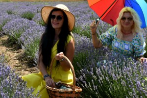 Edirne'de lavanta turizmi; otellerde yer kalmadı