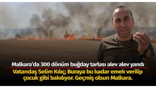 Malkara'da 300 dönüm buğday tarlası alev alev yandı