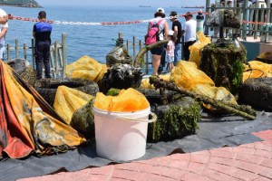 Tekirdağ'da dalgıçların denizden çıkardığı atıklar sergilendi