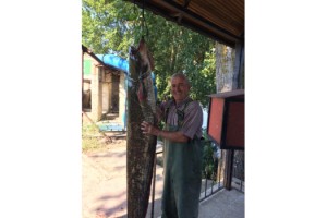 Boyundan büyük balık yakaladı