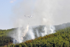 Keşan'da çıkan orman yangını söndürüldü