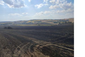 Malkara'da 380 dönüm buğday tarlası kül oldu