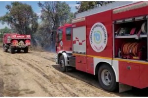 Tekirdağ'da anız yangını ormana sıçradı