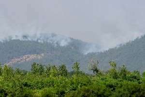 Yunanistan'daki orman yangını, Türkiye'den endişe ile izleniyor