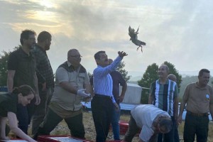 Kırklareli'de 500 keklik doğaya salındı