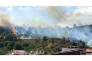 Tekirdağ'da orman yangını; yerleşim alanına sıçramadan söndürüldü