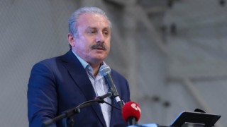 Şentop: Birlik ve dirliğimiz bozulursa, telafisi imkansız zararlar meydana gelecektir