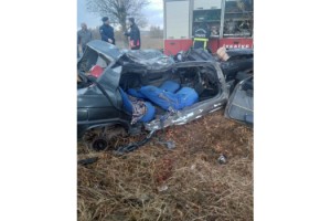 Ağaca çarpan otomobilin sürücüsü öldü