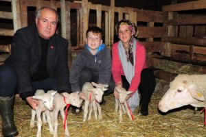 Malkara'da bir koyun beşiz doğurdu