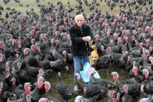 Yılbaşı hindisinin kilosu 100 lira