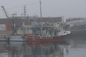 Tekirdağ'da yoğun sis; balıkçılar denize açılamadı