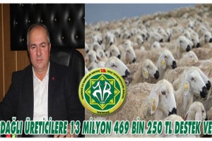 2022 Yılı Anaç Koyun – Keçi ve 2022 Yılı Sürü Büyütme ve Yenileme Desteklemeleri Hesaplara Yatırıldı