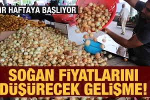 Soğan fiyatlarını düşürecek gelişme: 1 haftaya başlıyor