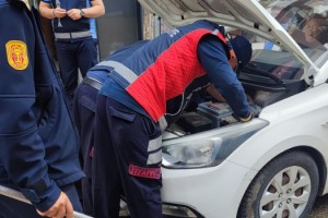 Otomobilin motoruna giren yavru kediyi, itfaiye kurtardı