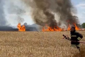 Malkara’da 50 dönüm buğday tarlası yandı