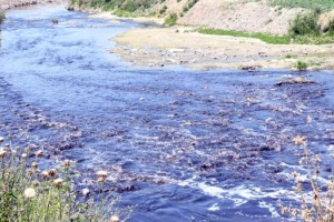 Tekirdağ'da çevreyi kirleten tesislere 22 milyon 666 bin lira ceza