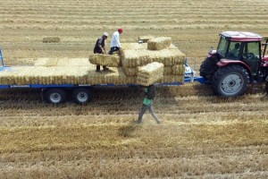 Balya işçilerinin 38 derecelik sıcakta zorlu mesai