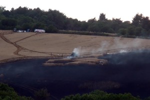 Malkara'da 60 dönüm ekili buğday alev alev yandı