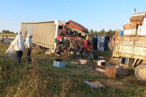 TIR, park halindeki 2 kamyonete çarptı: 4 ölü, 1 yaralı