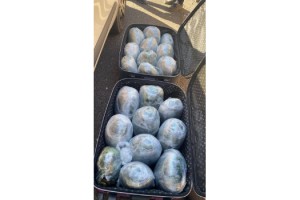 Gaziantep'te 2 polis memuru 19 kilo uyuşturucu ile yakalandı