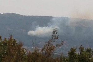 Tekirdağ'da orman yangını