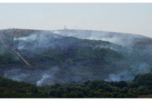 Türkiye- Bulgaristan sınırındaki ormanda yangın
