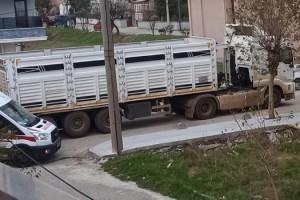 Kamyonun çarptığı 10 yaşındaki Sudem yaralandı