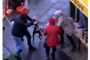 Kucağındaki köpeğe pitbull saldırdı; o anlar kamerada