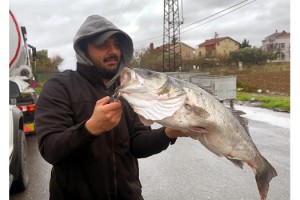 Oltayla 10 kiloluk levrek yakaladı