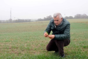 Prof. Dr. Kaya: Buğdayda stres ortadan kalktı, yüksek verim bekleniyor