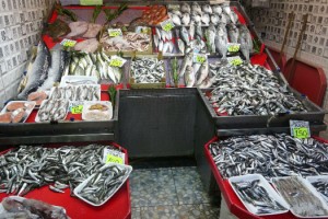 Av yasağı sonrası Marmara Denizi'nde hamsi bolluğu