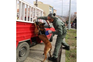Tekirdağ'ın narkotik köpeği Larissa öldü