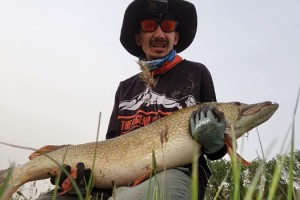 Amatör balıkçı oltayla 1 metre uzunluğunda turna balığı yakaladı