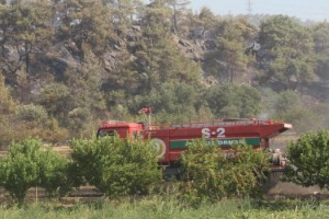 Çanakkale'de ormanlara giriş yasaklandı